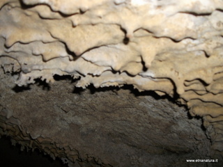 otta Petralia-17-03-2013 10-35-44